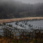 Americans detained trying to send rice, Bibles, dollar bills to North Korea