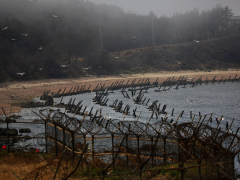 Americans detained trying to send rice, Bibles, dollar bills to North Korea