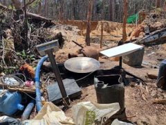 Brazil strikes deal with Musk’s Starlink to curb criminal use in the Amazon rainforest