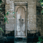 Untamed Bali