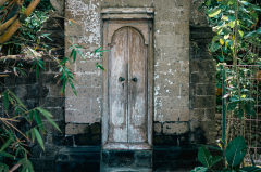 Untamed Bali
