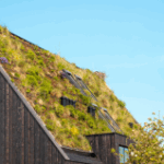 Rethinking rainwater