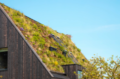 Rethinking rainwater
