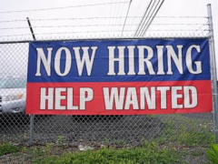 US applications for jobless aid fell to 233,000 last week as layoffs remain low