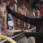 A dairy farm was raided. Mixed messages from Washington have only increased fears