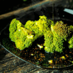 Resurrecting the ageing liver