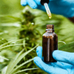 Medical Cannabis