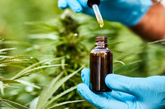 Medical Cannabis