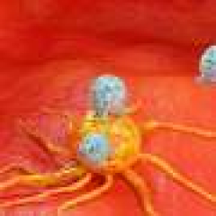 Insured? You’re more likely to survive cancer through immunotherapy treatment