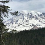 Mount Rainer is rattled by more than 300 earthquakes. It’s the largest swarm in years.