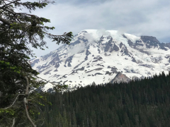 Mount Rainer is rattled by more than 300 earthquakes. It’s the largest swarm in years.
