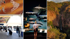 Measles alert for NT as infected tourist visits Darwin and Alice Springs Airport, Litchfield National Park