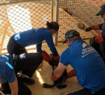 Young seal rescued from Newport canal after shark bite