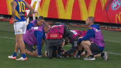 West Coast star Liam Ryan remarkably plays on after sickening head clash with Melbourne’s Trent Rivers