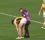 Concerns for Will Day as Hawthorn star returns from Adelaide clash with a ‘heavy limp’