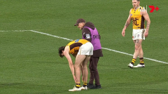 Concerns for Will Day as Hawthorn star returns from Adelaide clash with a ‘heavy limp’
