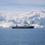 Krill fishery in Antarctica shut down after record catch triggers closure