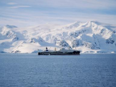Krill fishery in Antarctica shut down after record catch triggers closure