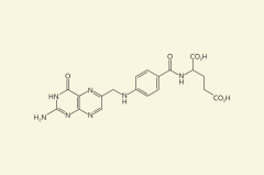 Folic Acid