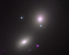Rare Type of Black Hole Snacks on Star