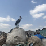 As Africa pays the price for rich world’s fast fashion fix, new French bill targets brands
