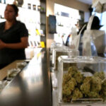 Inflation? Not in the cannabis market. Here’s why weed is so cheap.