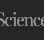 Brazil’s dangerous environmental licensing bill | Science