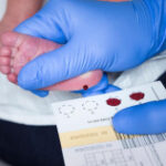 Blood taken from Danish babies ended up in huge genetic study—without consent