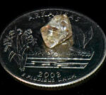 She spent years hoping to find a diamond for her engagement ring. She found one in a park