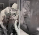 Shocking footage emerges of assault on 60-year-old man during home invasion in Gladstone Park, Melbourne