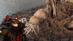 I know, I’ll use Deep Rock Galactic to identify the mushrooms in my palm pot