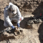 Iraq starts mass grave excavation from ISIL (ISIS) carnage south of Mosul
