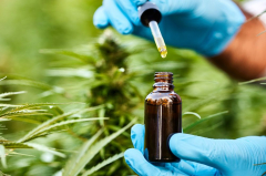 Medicinal Cannabis