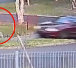 Man narrowly avoids serious injury in horror hit-and-run in Traralgon, Victoria