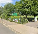 Children among casualties after tree falls in park