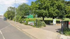 Children among casualties after tree falls in park
