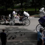 As bikes and strollers fill Central Park, its managers want to push horse carriages out