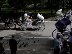 As bikes and strollers fill Central Park, its managers want to push horse carriages out