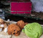 A girls’ summer camp cut tragically short by a ‘horrific’ deluge