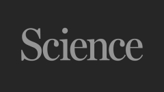 Catching tiny signals | Science