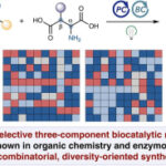 Diversity-oriented photobiocatalytic synthesis via stereoselective three-component radical coupling | Science