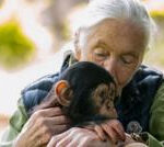 Dame Jane Goodall remembered as a ‘true hero for the planet’
