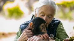 Dame Jane Goodall remembered as a ‘true hero for the planet’