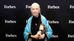 Jane Goodall Criticized Musk And Trump In Last Major Interview Before Her Death