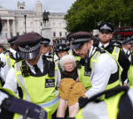 Police make 355 arrests at pro-Palestinian protest in London