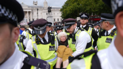 Police make 355 arrests at pro-Palestinian protest in London