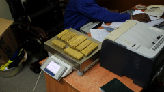 ‘Operation Golden Sweep’: DRI seizes 10.5 kg gold worth ₹12.58 crore, arrests 13 at Mumbai airport