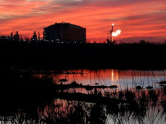 Louisiana judge orders review of Gulf Coast liquefied natural gas facility’s climate change impacts
