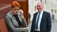 One Nation leader Pauline Hanson targets Coalition MPs including Barnaby Joyce for One Nation defection