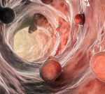 Faecal Biomarker May Reduce Child Colonoscopy Need